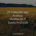 Ruido Blanco Para Bebes、Meditar Profundamente、Relajación - Mezcla De Arroyo Y Lluvia