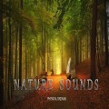Physical Dreams、Vicente Lopez Abellan - Nature Sounds Nº2