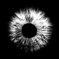 Chris Lehmann、Bode V - Worried