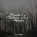 Musica Meditaction、Lluvia Relajante、Naturaleza Relajacion - Mezcla De Arroyo Y Lluvia