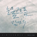 金延宇 - 눈물고드름