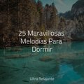 Ambiente、Música a Relajarse、Relajarse - Ritmo Tropical