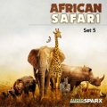 Jean Pascal Vielfaure - World All You Need Is Here for an African Documentary