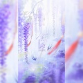 梅妖 - 贪欢
