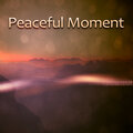 Rest & Relax Nature Sounds Artists - Relax Zone