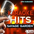APM Karaoke - I Knew I Loved You