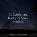 Relaxing Music Therapy、Sleeping Baby Songs、Mindfulness Meditation World - Silence Revived