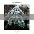 Nature Sound Series - Get Unique Sleep with Calm Nature Tunes pt. 1