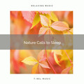 Nature Sound Series - Extreme Energy of Mother Earth Songs pt. 1