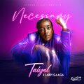 Larry Gaaga、TaiyeL - Necessary (Explicit)