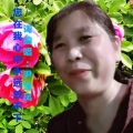 尹金凤 - 您在我心中永远放不下