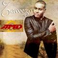 Zawezo - Share The Love