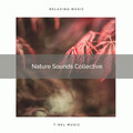 Nature Noise - Gain Total Relax with Nature Tunes for Relax pt. 2