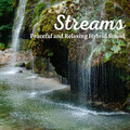 Meditation Music Club、The Outdoor Library、Relaxing Music for Stress Relief - Unfazed Tune