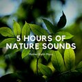 Nature Sounds Nature Music - Nature Sounds: Crackling Sounds