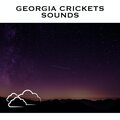 Loopable Radiance - Cricket Sounds for Sleep