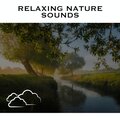 Loopable Radiance - Streaming Nature Sounds - Loopable