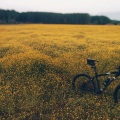 Chakra Meditation Universe、It's Raining、Guided Meditation Music Zone - Flowers in Bloom