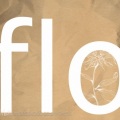 花栗くり - flos