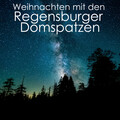 Collegium St. Emmeram、Nikolaus Hillebrandt、Hubertus Baumann、Hanns-Martin Schneidt - No.29 Duett (Sopran, Baß) : 