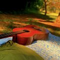 Jacksonport、Tamsin Wilson、Hannah Read、Sarah Jarosz - Fresh Flowers