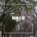 周墨ZM - 苏公堤