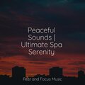 Trouble Sleeping Music Universe、Tonal Meditation Collective、Música Zen Relaxante - Silk on Water