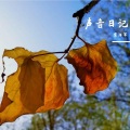 宋海军 - 记事本