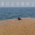 老船长OC - 暮钟