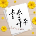 江晚肆 - 青春年华
