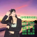 珊珊 - 乡愁里的花姐