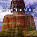 Meditation Awareness - Foundations For Faith