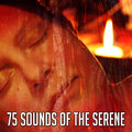 Nature Sound Series - Free Rest