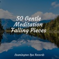 Rain Sounds ACE、Massagem Guru、Loopable Sounds for Babies - Forest Nature