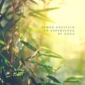 Meditazione Zen Musica - Musica New Age