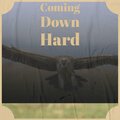 Paul Glover - Coming Down Hard