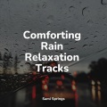 Relax Meditation Sleep、Buddhist Meditation Music Set、Study Zone - Forest, Morning, Birds