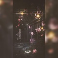 梅妖 - 夜游园