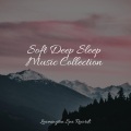 Nature Chillout、Trouble Sleeping Music Universe、Thunder Storms & Rain Sounds - Sleep Time