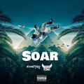 NoVanityRay、Ripp Flamez - Soar (Explicit)