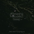 Sleeping Baby Songs、Spa Music Collective、Sleep Sounds of Nature - Meditation Basics