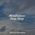 Trouble Sleeping Music Universe、Native American Flute、Academia de Meditação Buddha - Quiet Serenity