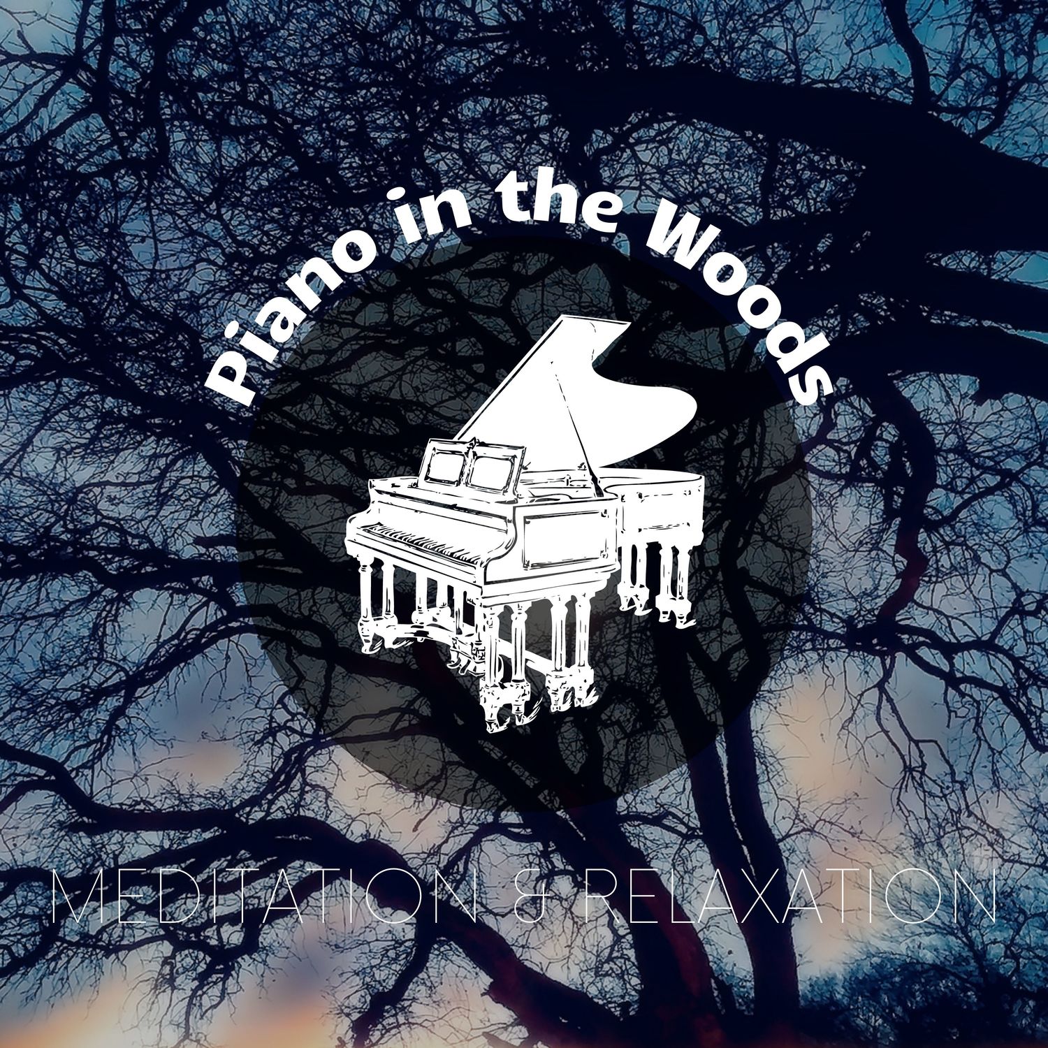 Meditation Music therapy、Piano Dreamers、Piano In The Woods - Peaceful Music Therapy