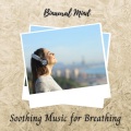 Binaural Shapers、Sleep Music Library、Baby Sleep Baby Sounds - Lucid Meditation