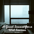 Rain Sounds & White Noise、Recorder Rain、Rain Wonder - Morning Rain