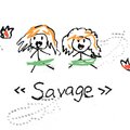 正刀 - Savage