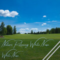 Relaxing and Calming、Pinetree Way、Pet Care Music Therapy - Quantum Session