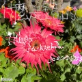 1kbps、jackzebra、joecroskey - 什么是错的 (feat. jackzebra & joecroskey)