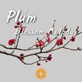 Chinese Playlists - Shaking Red Candle Flame
