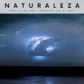 Musica Para Leer、Musica Para Dormir Bebes、Música Instrumental Maestro - Pescando En El Océano
